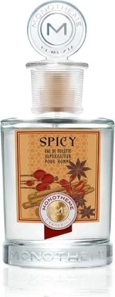 MONOTHEME SPICY туалетная вода (мужские) 100ml Tester 