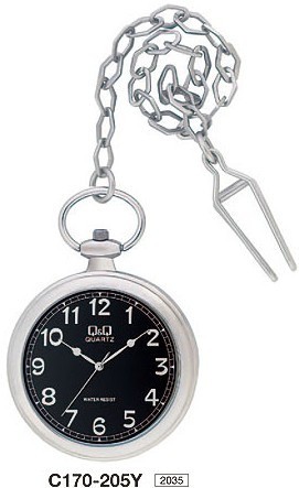 Наручные часы q&q   c170-205y rus 