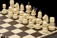 Шахматы &quot;Жемчужина&quot;, Madon