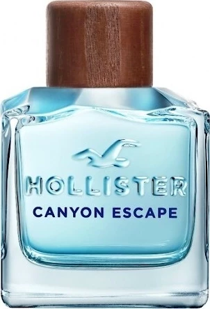 HOLLISTER CANYON ESCAPE туалетная вода (мужские) 100ml 