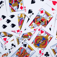 Карты &quot;100% Plastic Rally Playing Сards blue&quot;