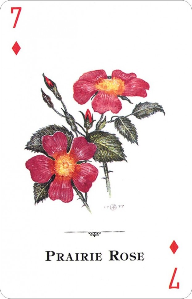 Карты "Wildflowers of the Natural World Playing Cards" 