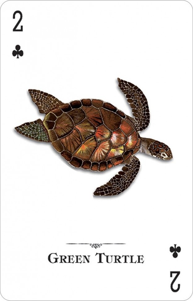 Карты "Reptiles & Amphibians of the Natural World Playing Cards" 