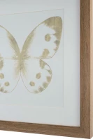 Картины Tomas Stern 83010