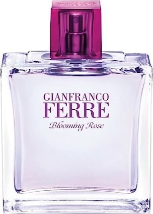 GIANFRANCO FERRE BLOOMING ROSE туалетная вода (женские) 100ml *Tester 