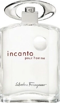 SALVATORE FERRAGAMO INCANTO туалетная вода (мужские) 100ml *Tester 