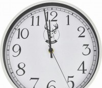 LA MINOR 525-L бел