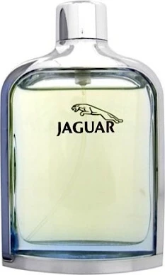 JAGUAR туалетная вода (мужские) 100ml 