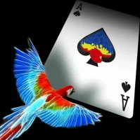 Карты &quot;Infinity playing cards by D3PSY Standard index&quot;