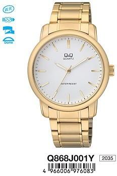 Наручные часы q&q   q868j001y rus 