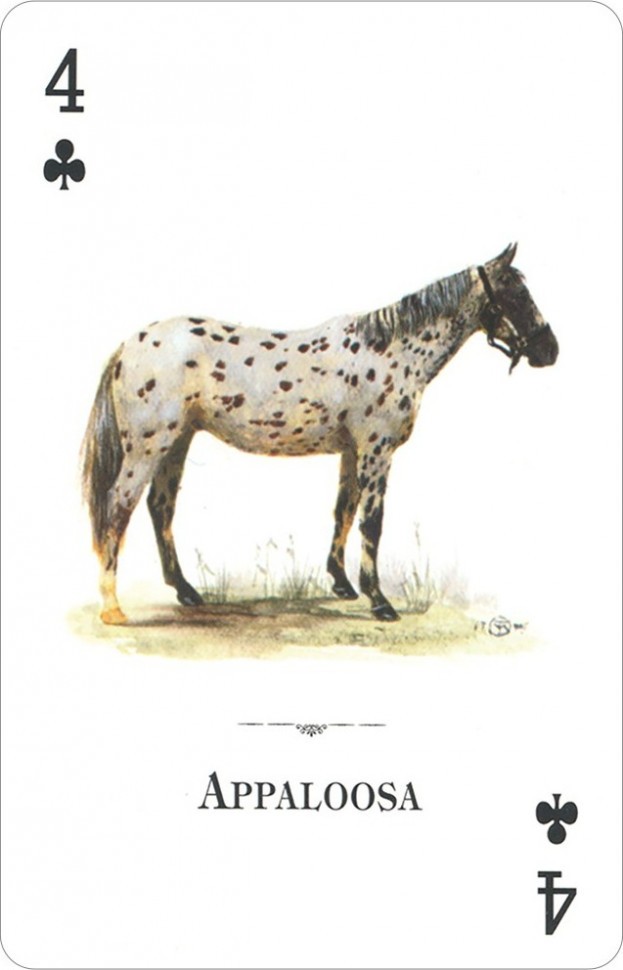 Карты "Horses of the Natural World Playing Cards" 