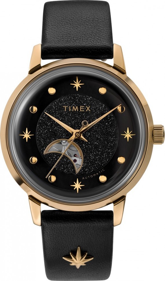 Timex tw2u54600 