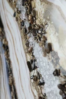 Картины Tomas Stern 85072