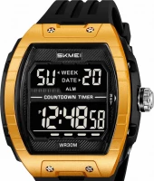 Наручные часы skmei 2421bkgd black/gold