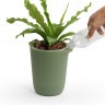 Горшок для полива растений oasis round pot s 