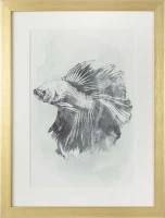 Картины Tomas Stern 83024