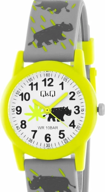 Наручные часы qq v22a-017vy 