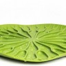 Сушилка-поднос lotus, зеленая 