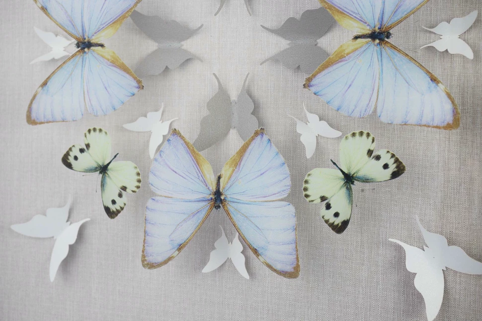 Картины tomas stern 83041 