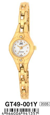 Наручные часы q&q   gt49-001y rus 