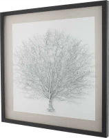 Картины Tomas Stern 83039